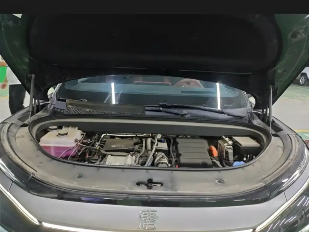 BYD Tang L 2025 из CN, фото 5