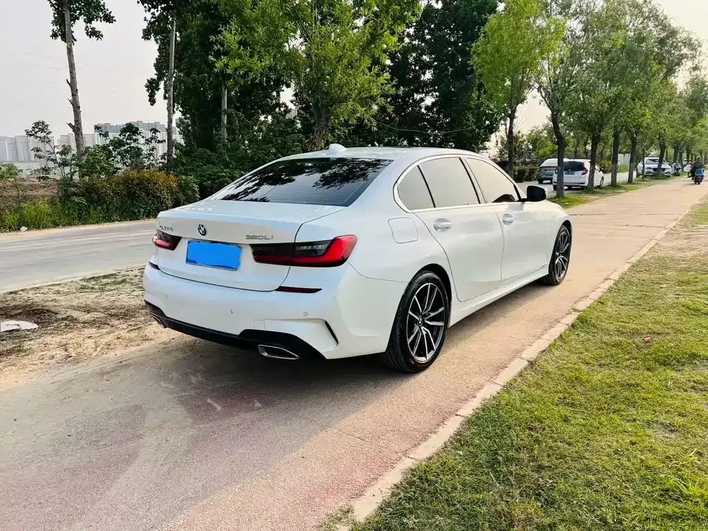 BMW 3 Series 2021 из CN, фото 8