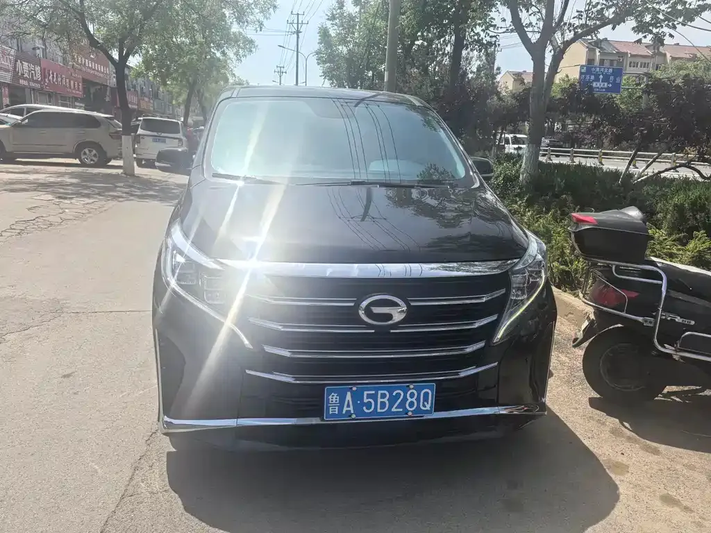 GAC Motor Trumpchi M8 2021 из CN, фото 8
