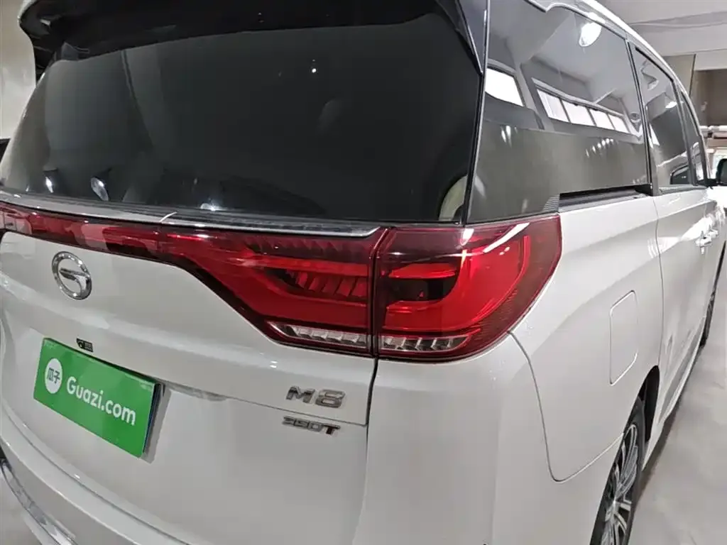 GAC Motor Trumpchi M8 2023 из CN, фото 4