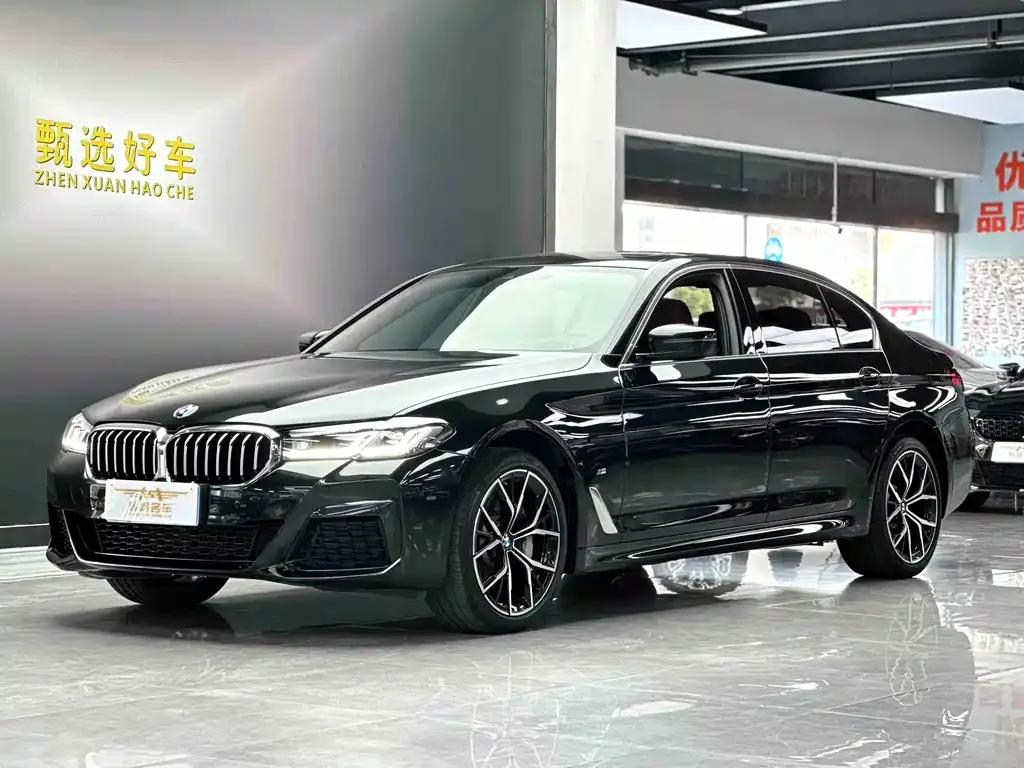 BMW 5 Series 2023 из CN, фото 1