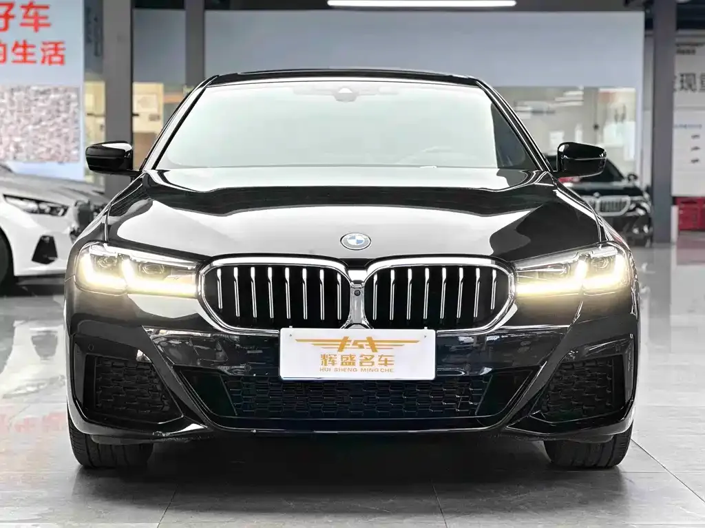 BMW 5 Series 2023 из CN, фото 7