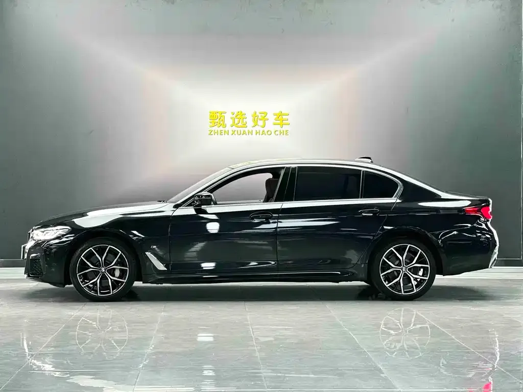 BMW 5 Series 2023 из CN, фото 3