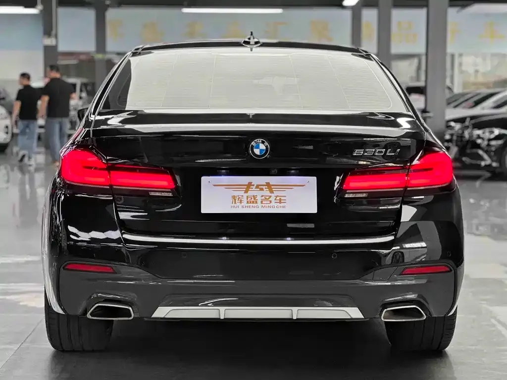 BMW 5 Series 2023 из CN, фото 6
