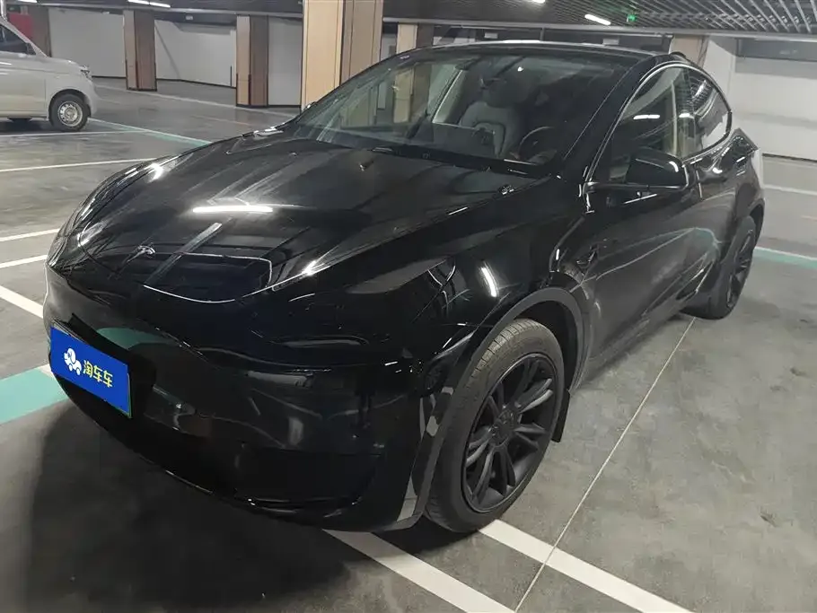 Tesla Model Y — фото 1