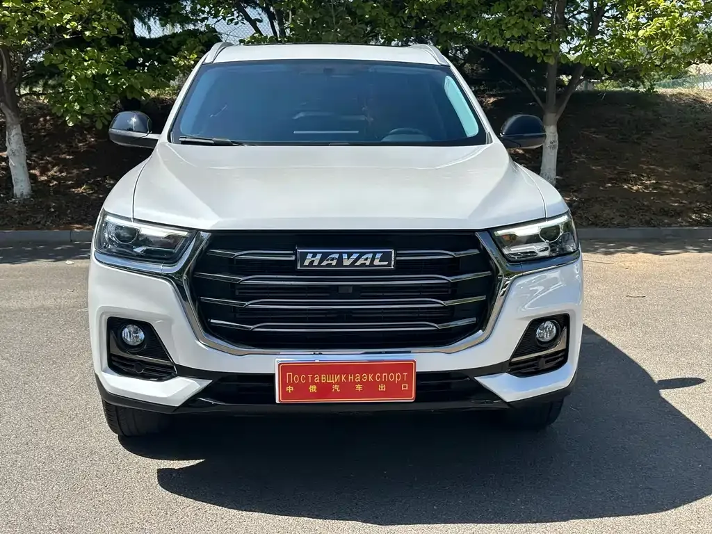 Haval H6 2023 из CN, фото 5
