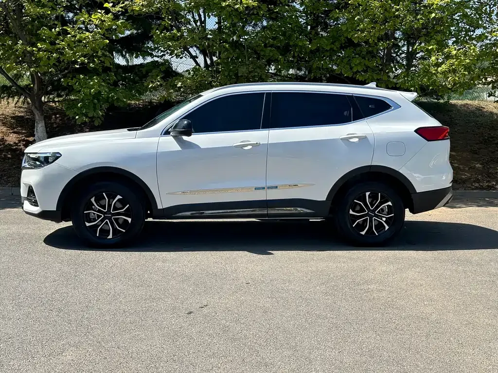 Haval H6 2023 из CN, фото 9