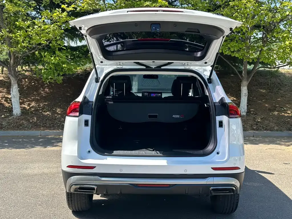 Haval H6 2023 из CN, фото 6