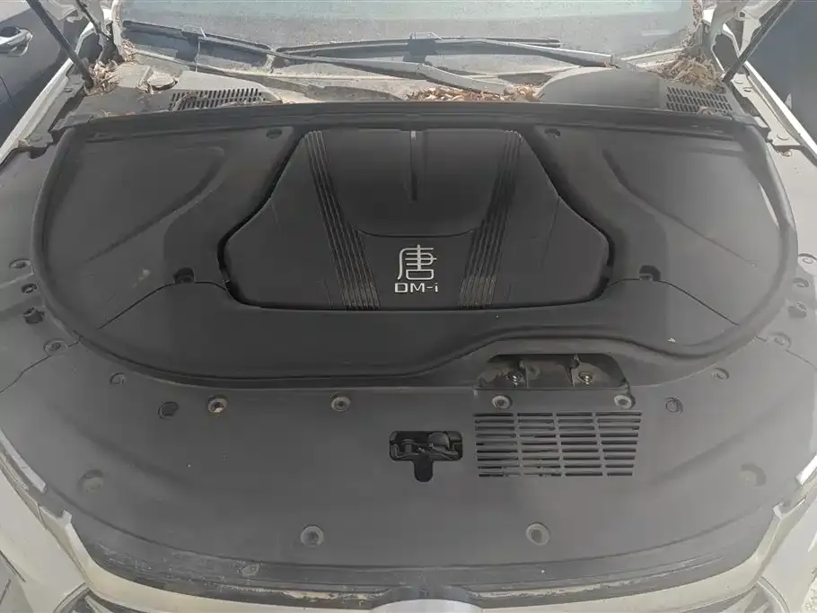 BYD Tang New Energy 2023 из CN, фото 2