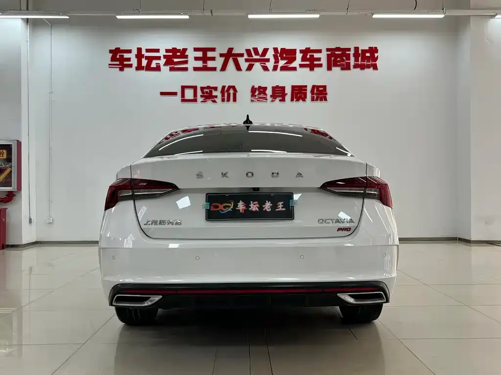 Skoda Octavia 2021 из CN, фото 2