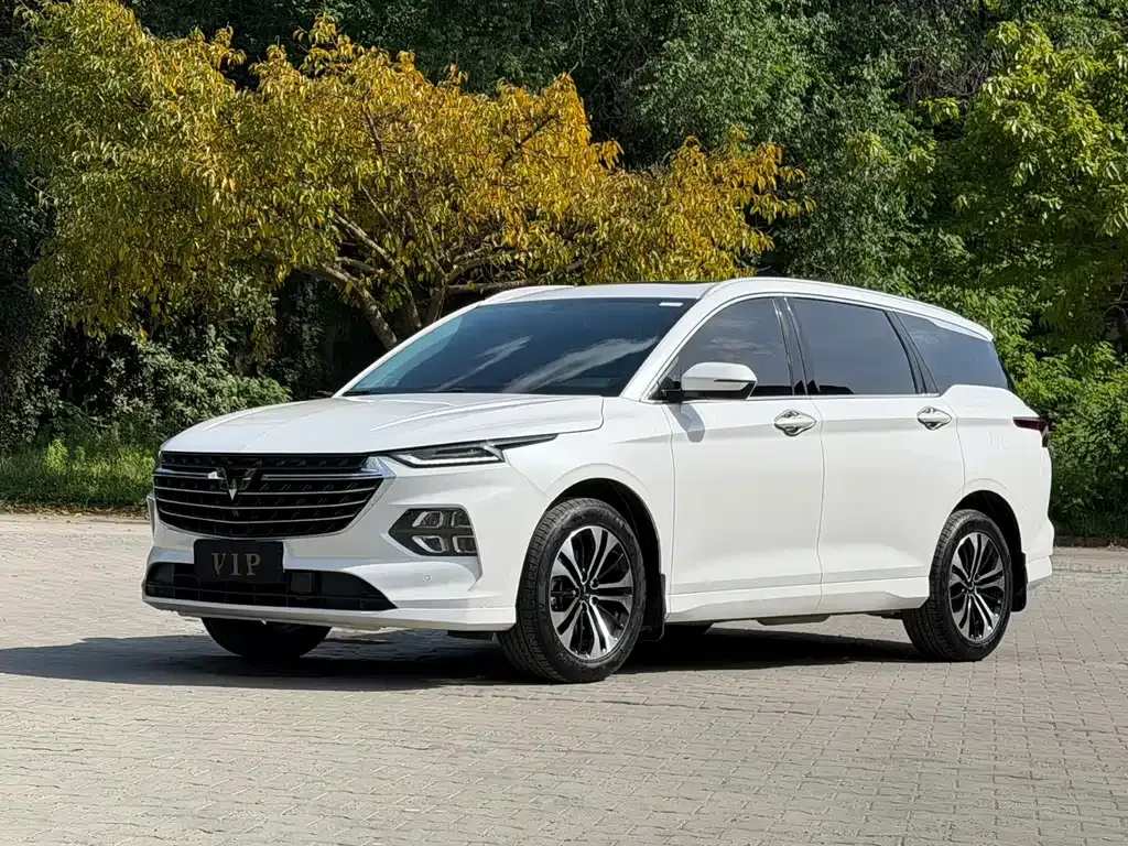 Wuling Victory