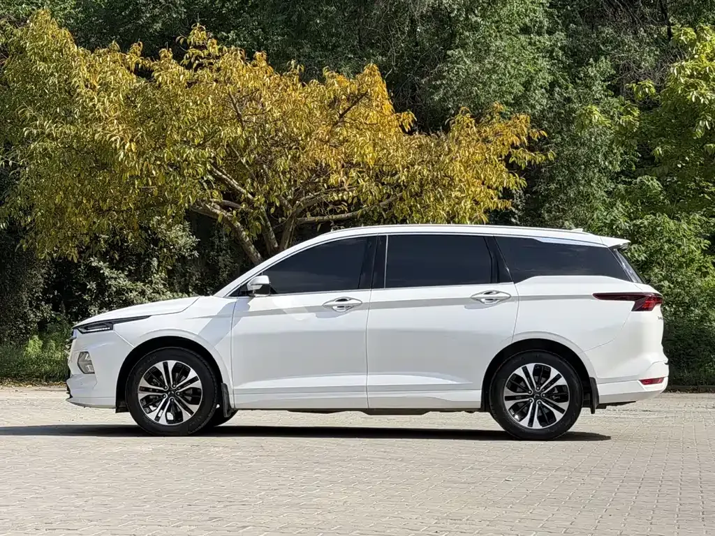 Wuling Victory 2023 из CN, фото 10