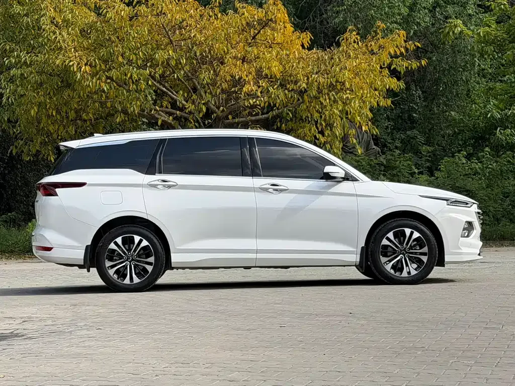 Wuling Victory 2023 из CN, фото 3