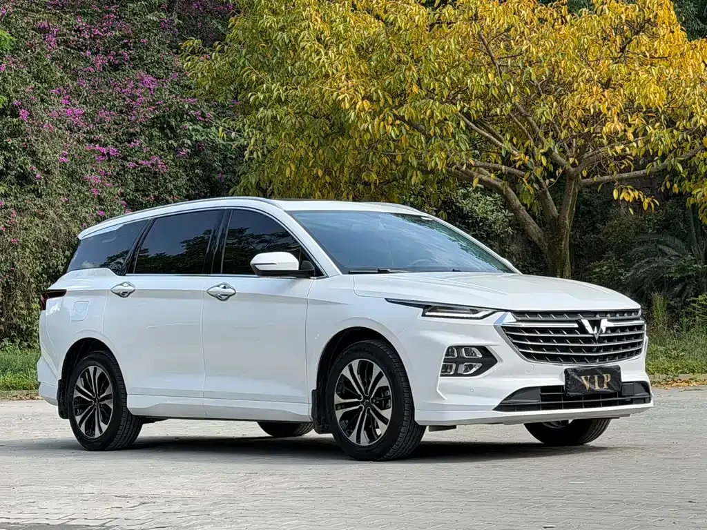 Wuling Victory 2023 из CN, фото 7