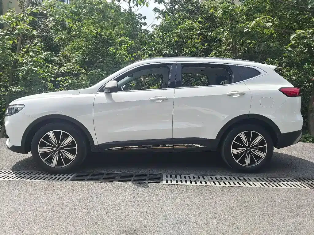 Haval H6 2023 из CN, фото 10
