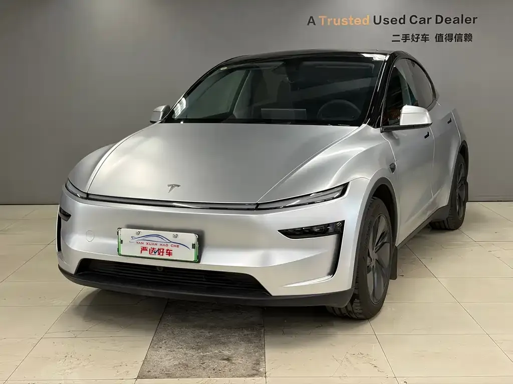 Tesla Model Y — фото 1