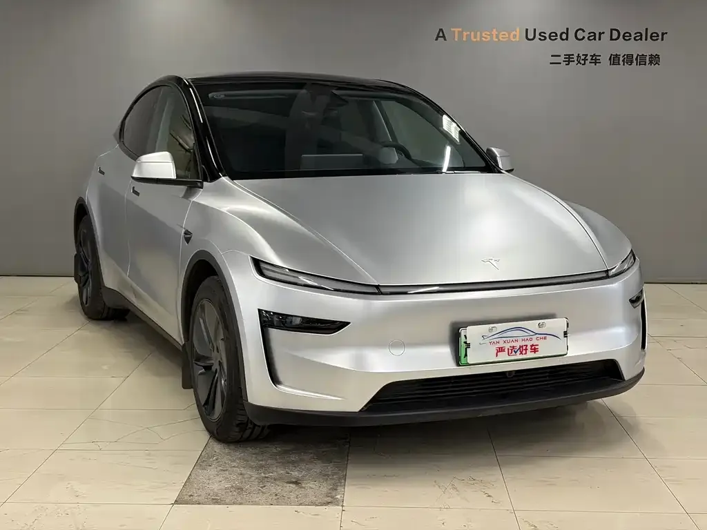 Tesla Model Y — фото 10
