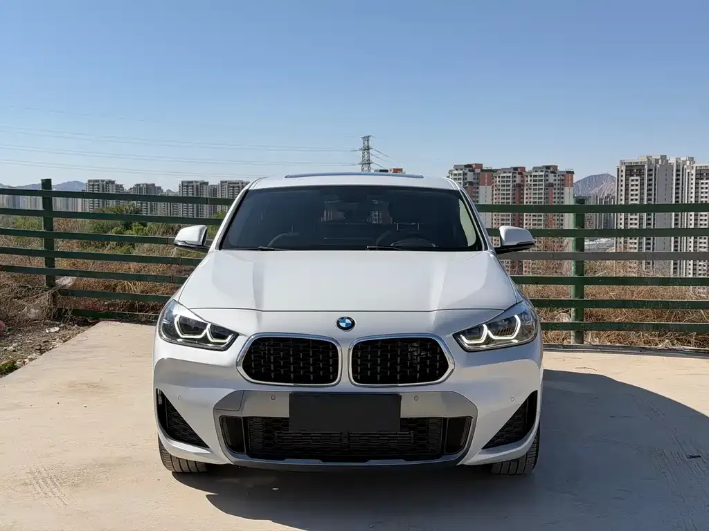 BMW X2 2023 из CN, фото 9