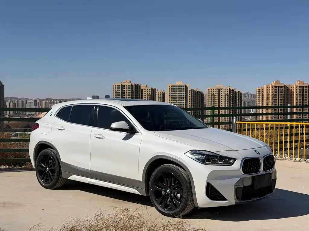 BMW X2 2023 из CN, фото 8