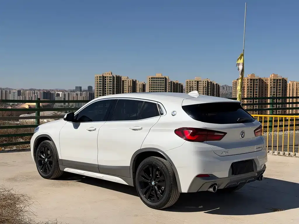 BMW X2 2023 из CN, фото 10