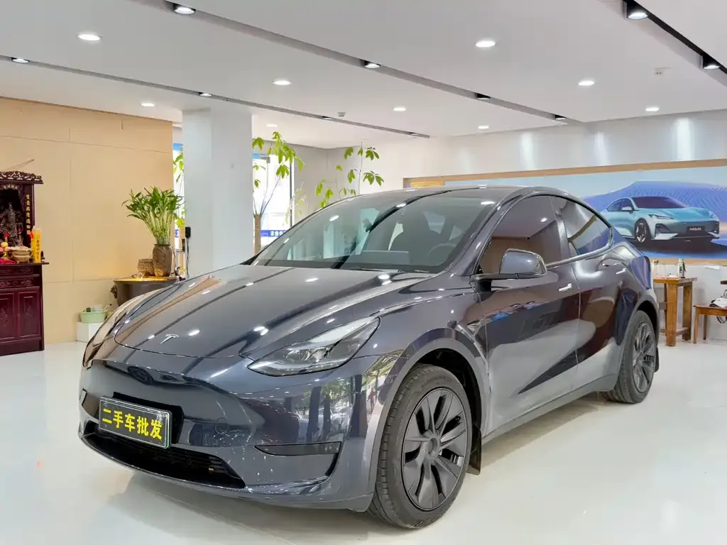 Tesla Model Y 2024 из CN, фото 1