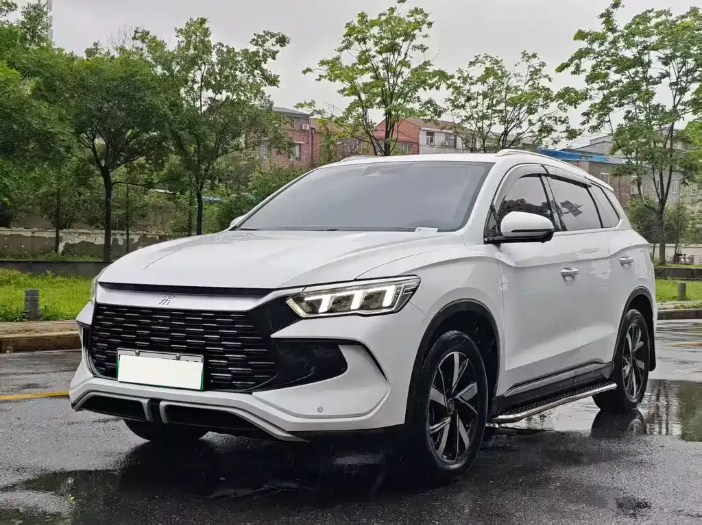BYD Pro New Energy 2024 из CN, фото 1