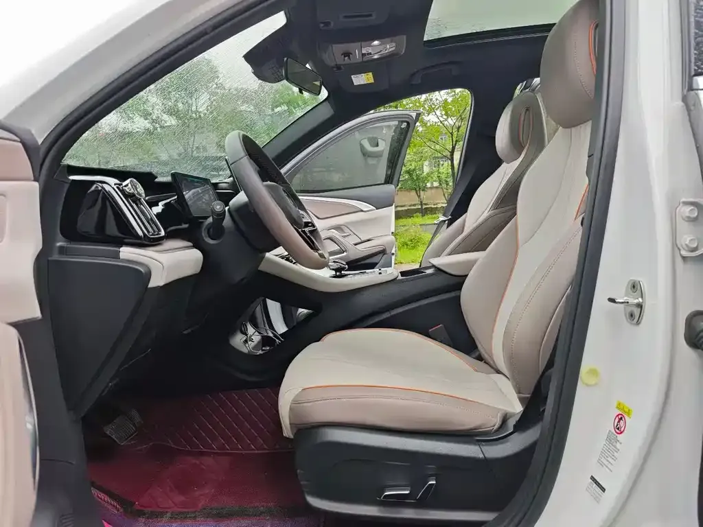 BYD Pro New Energy 2024 из CN, фото 2