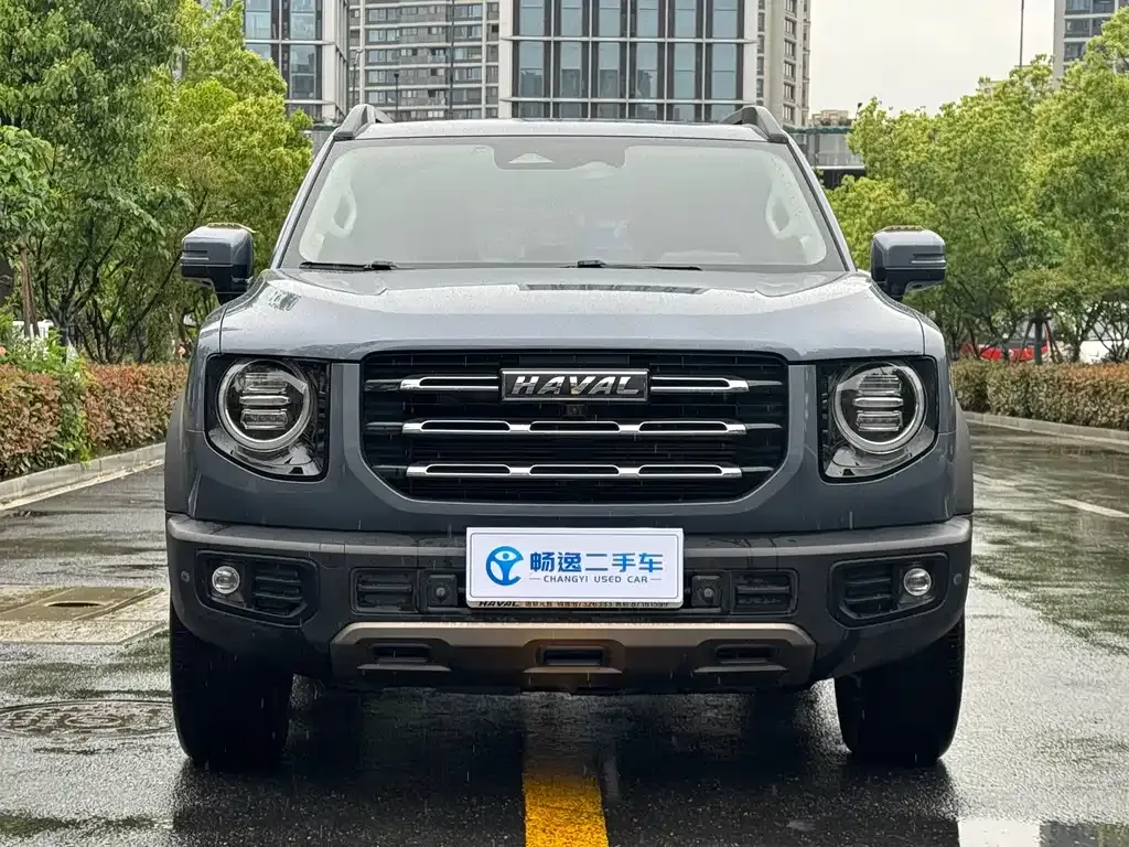 Haval Big Dog 2021 из CN, фото 9