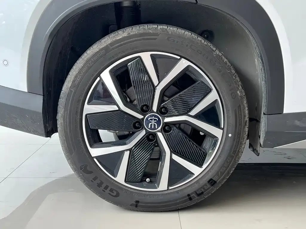 BYD L DM-i — фото 8