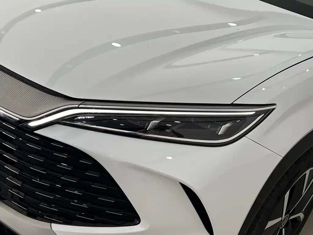 BYD L DM-i — фото 3