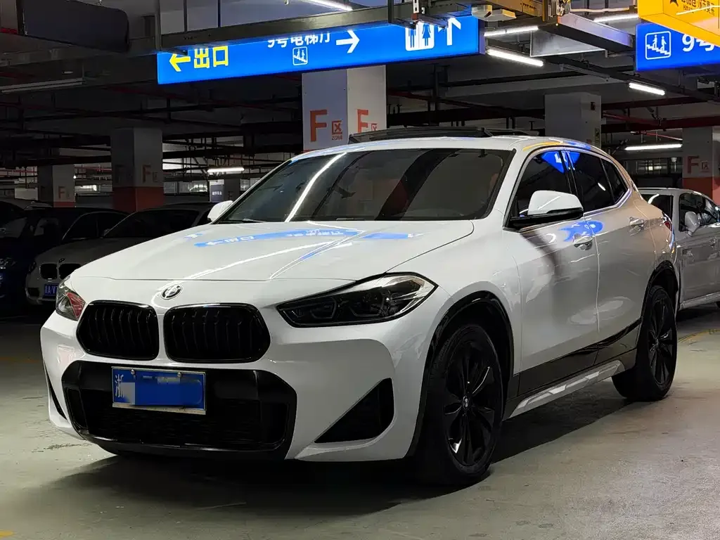 BMW X2 2023 из CN, фото 10