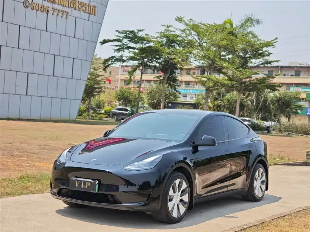 Tesla Model Y — фото 8