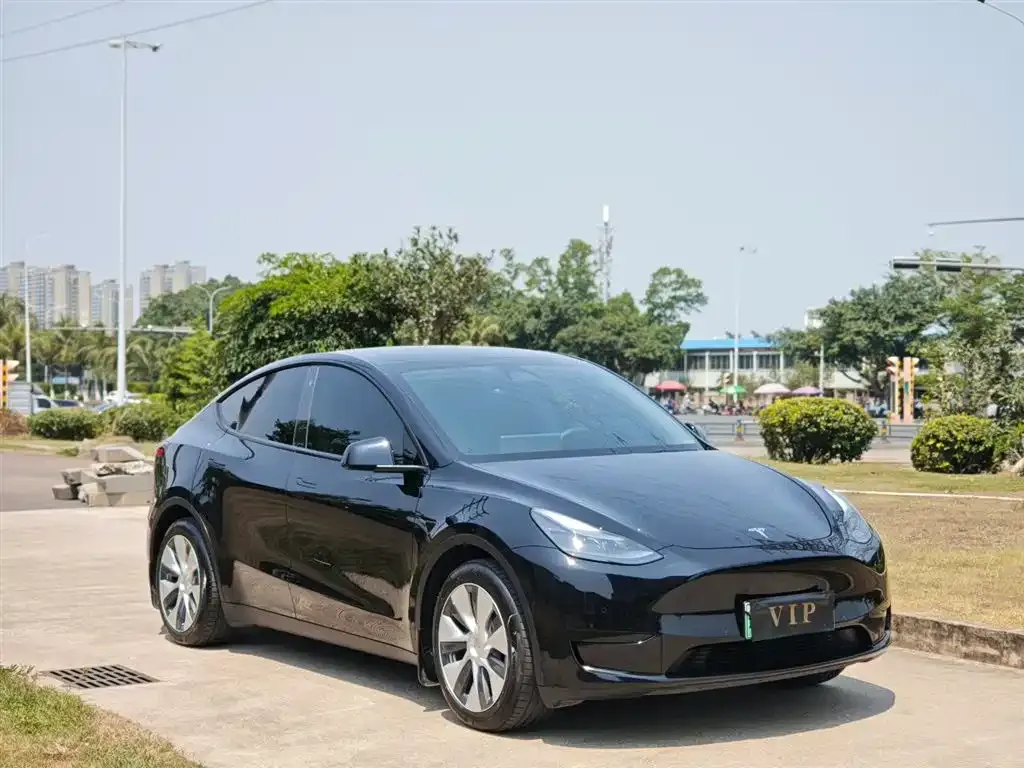 Tesla Model Y — фото 4