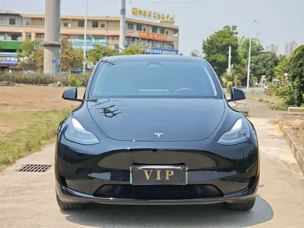 Tesla Model Y — фото 6