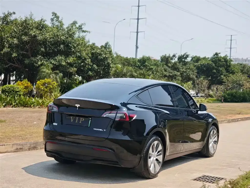 Tesla Model Y — фото 9
