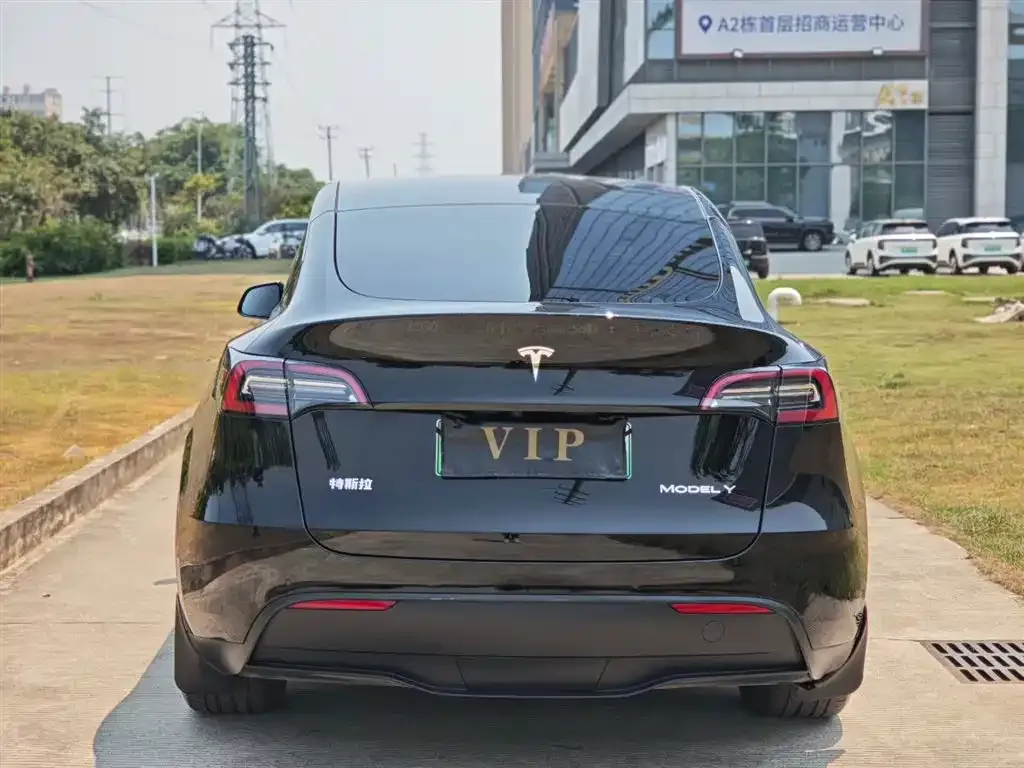 Tesla Model Y — фото 3