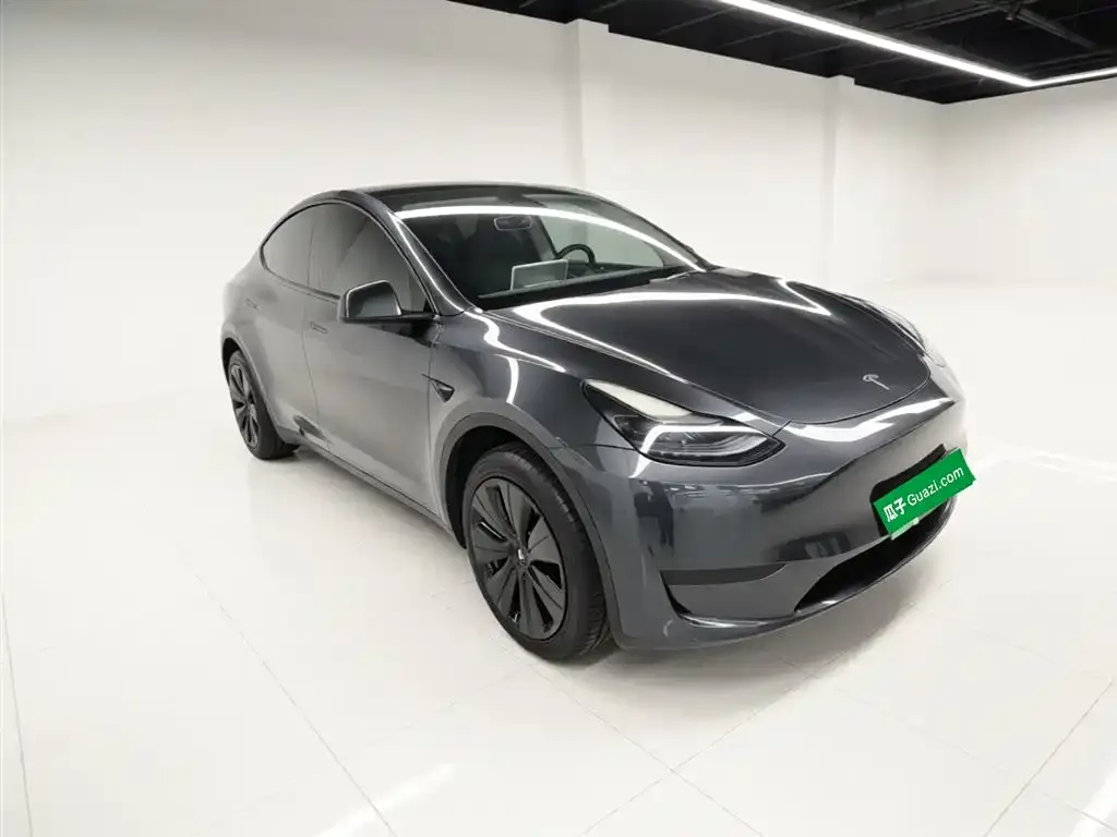 Tesla Model Y — фото 9