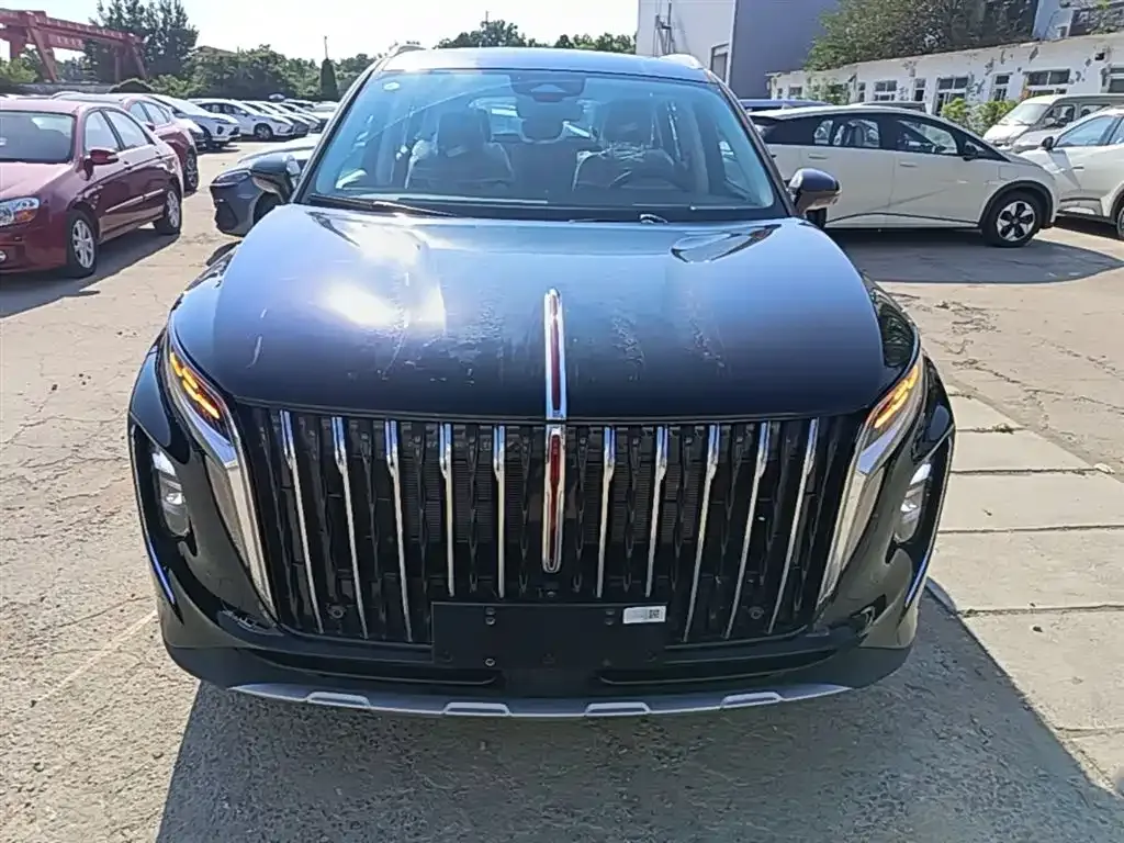 Hongqi HS7 PHEV 2026 из CN, фото 6