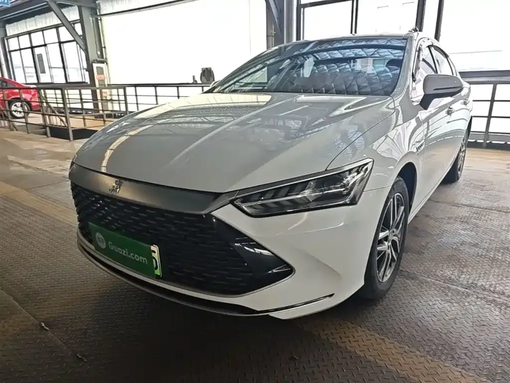 BYD Qin PLUS — фото 1