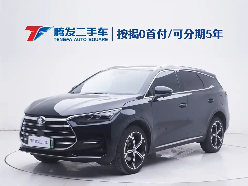 BYD Tang New Energy 2023 из CN, фото 1