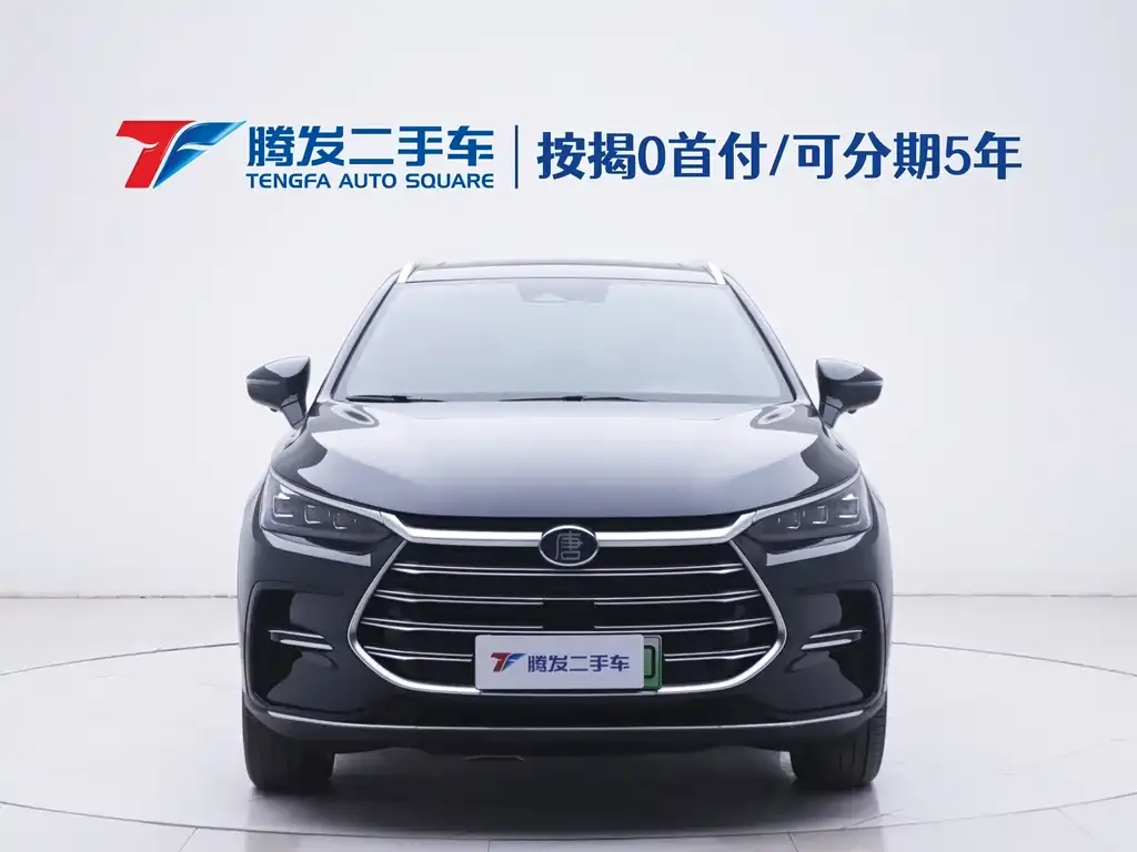 BYD Tang New Energy 2023 из CN, фото 10