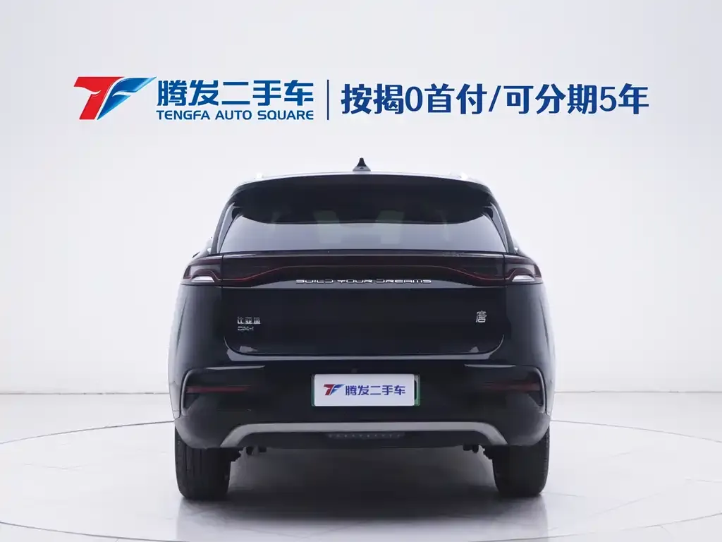 BYD Tang New Energy 2023 из CN, фото 8