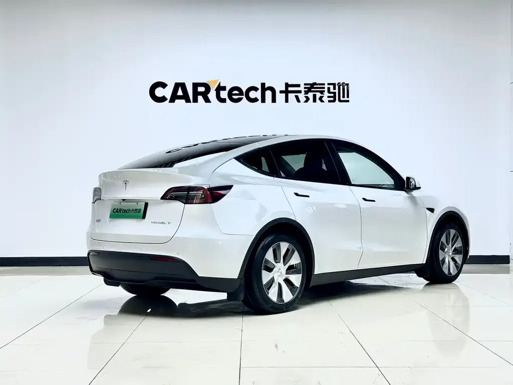 Tesla Model Y — фото 10