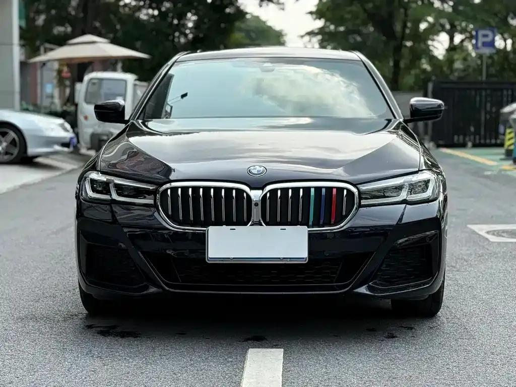 BMW 5 Series 2023 из CN, фото 7