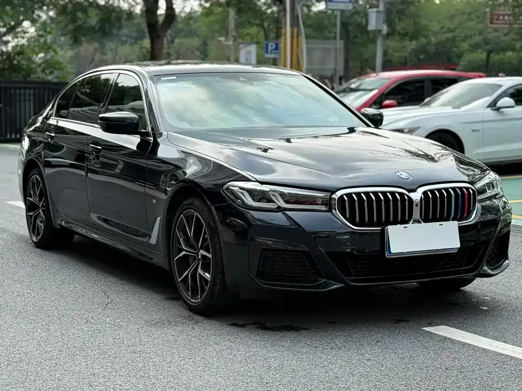 BMW 5 Series 2023 из CN, фото 6