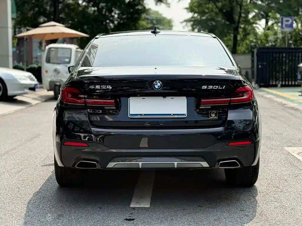 BMW 5 Series 2023 из CN, фото 3
