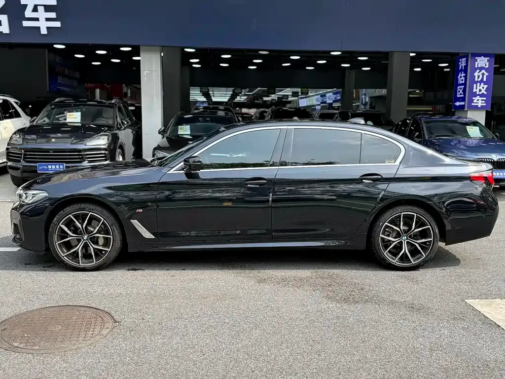 BMW 5 Series 2023 из CN, фото 8