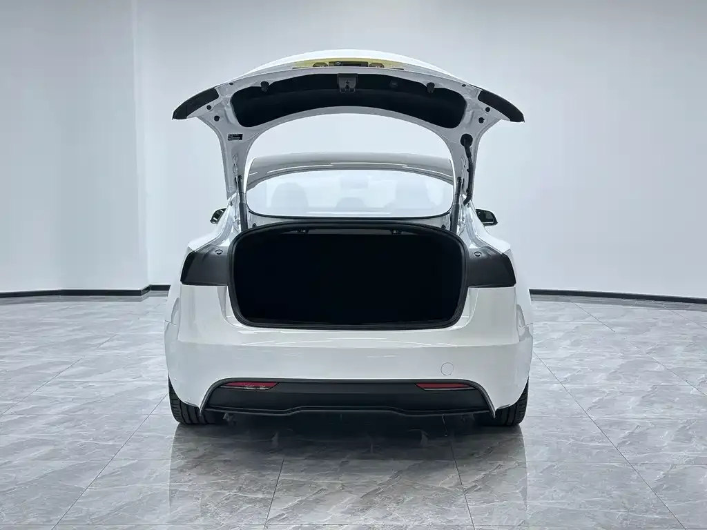 Tesla Model 3 2025 из CN, фото 3