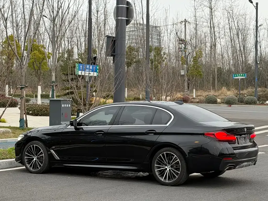 BMW 5 Series 2021 из CN, фото 7