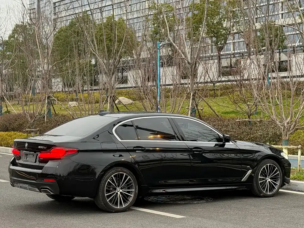 BMW 5 Series 2021 из CN, фото 9